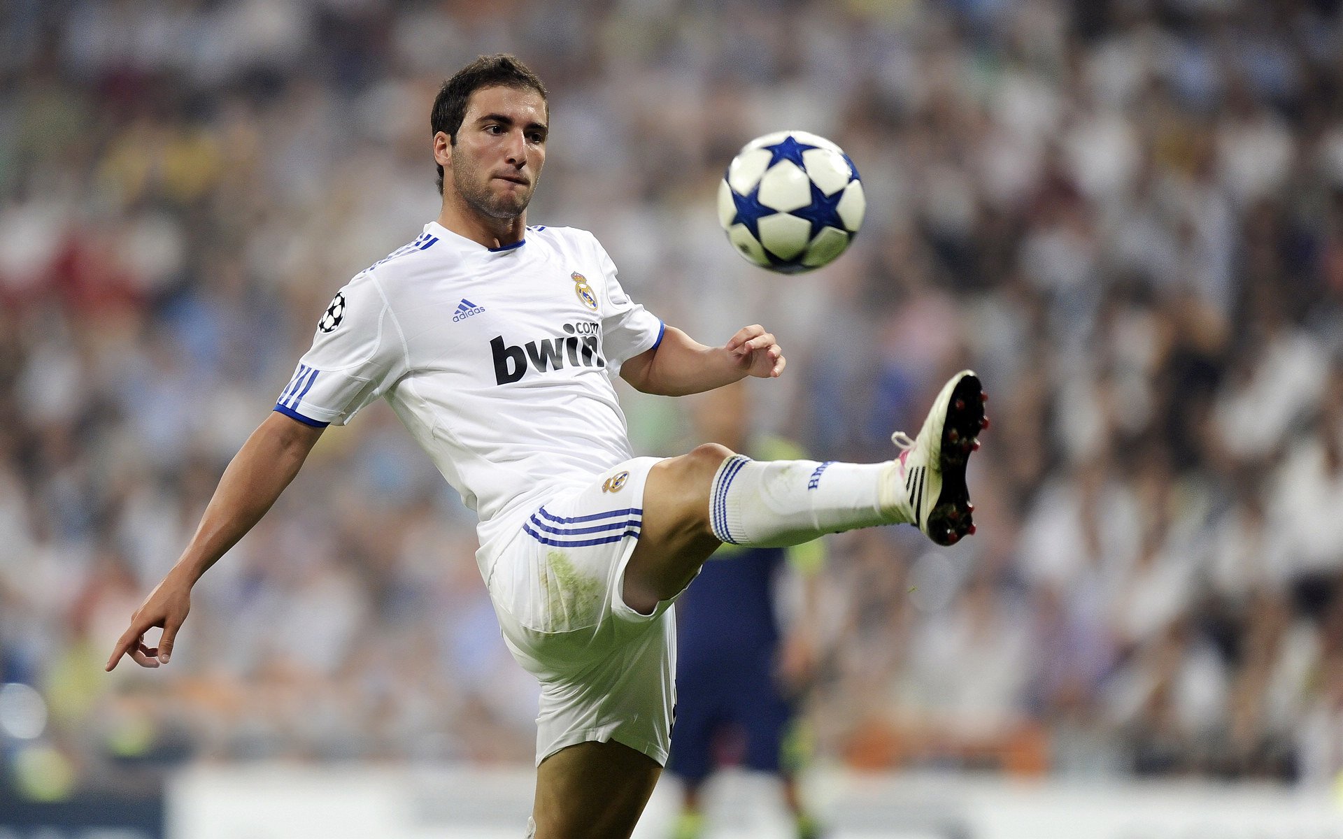 勒沃库森签下国际新星，勒沃库森签下国际新星了吗